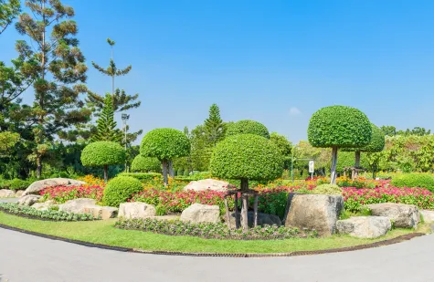 D BAUS j.d.o.o., Hortikultura, vrtlari